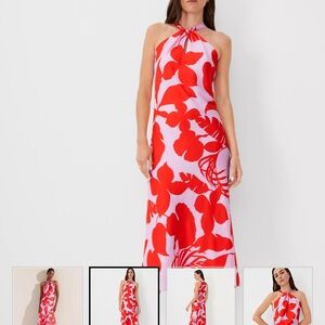 Ann Taylor - Halter Sleeveless Midi Flare Dress - size 6